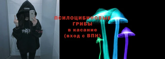 mdma Аркадак