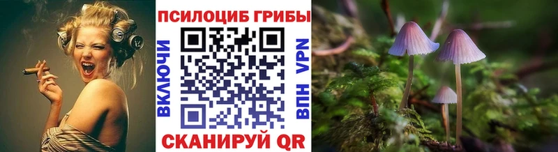 Галлюциногенные грибы прущие грибы  Уяр 